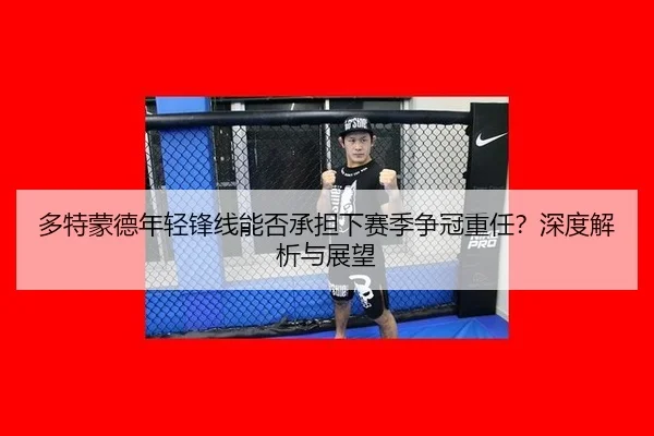 多特蒙德年轻锋线能否承担下赛季争冠重任？深度解析与展望