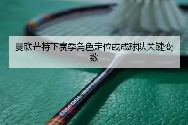 man-lian-mang-te-xia-sai-ji-jue-se-ding-wei-huo-cheng-qiu-dui-guan-jian-bian-shu-2-646.jpg